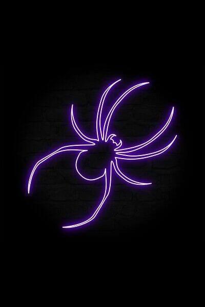 Spider Sign - Neon Boards