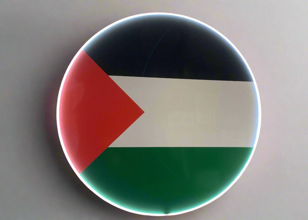 Free Palestine | Neon Board