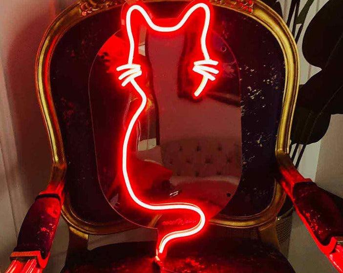 Cat Selfie Mirror - Neon Boards