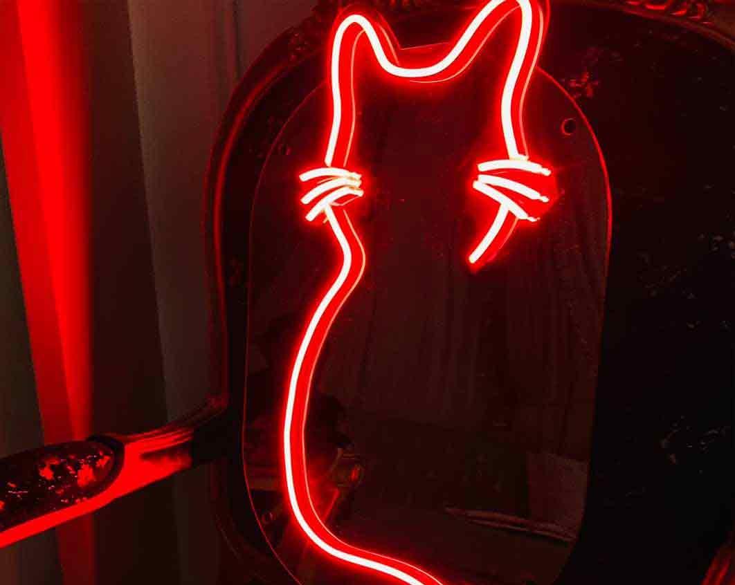 Cat Selfie Mirror - Neon Boards